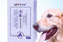 耳泰对宠物的使用方法是什么?一文告诉你 耳泰对宠物的使用方法是什么?一文告诉你