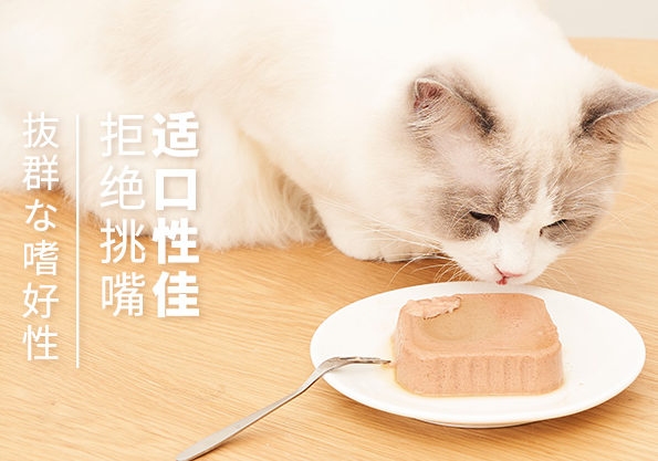 猫需要吃罐头吗?丹特医生猫罐头有话说 猫需要吃罐头吗?丹特医生猫罐头有话说
