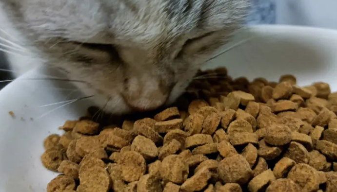 妙鲜多猫粮到底怎么样? 妙鲜多猫粮到底怎么样?