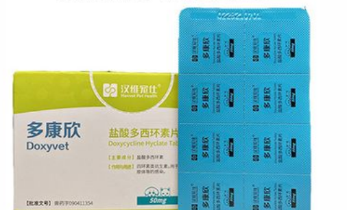 多康欣吃了会有什么反应