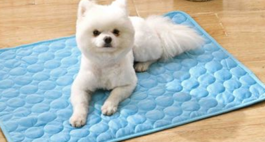 俏尾巴宠物用品价格 俏尾巴宠物用品价格