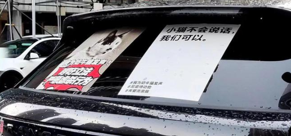 奶牛猫又遭恶意虐待,致双眼失明...到底还有多少“杰克辣条”? 奶牛猫又遭恶意虐待,致双眼失明...到底还有多少“杰克辣条”?