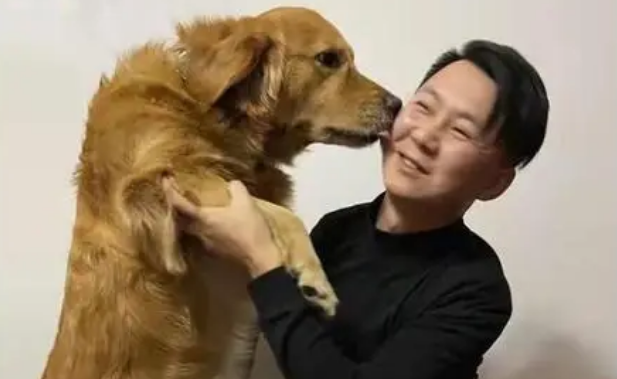 刘伟寻宠团队怎么样