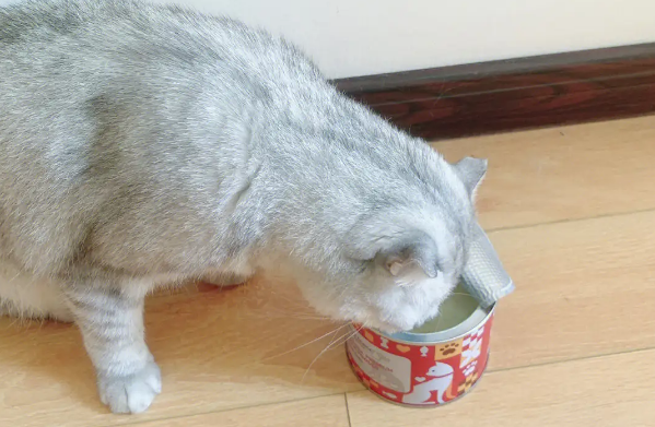 毛兀猫罐真假对比