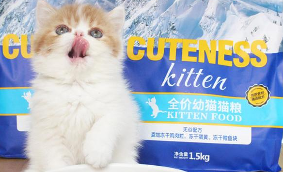 壹萌品牌十年磨一剑，成为国产猫粮后起之秀