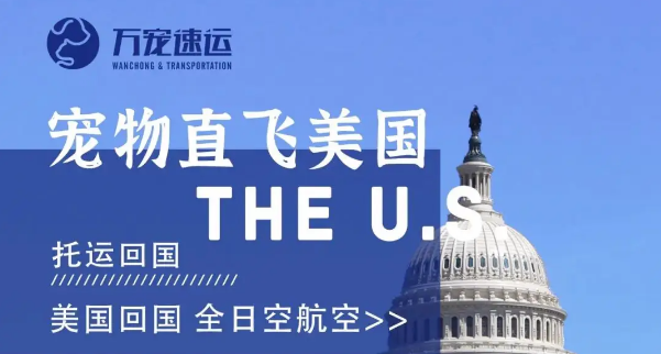 万宠速运怎么样 万宠速运怎么样