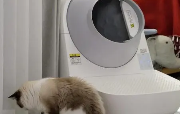 Catlink自动猫砂盆超全面测评来咯 Catlink自动猫砂盆超全面测评来咯