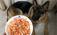 狗狗可以吃虾壳吗？