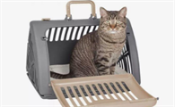 猫活体怎么运输的啊