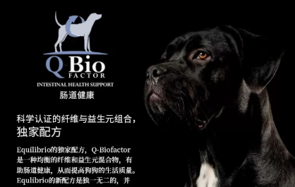 英派特狗粮好么