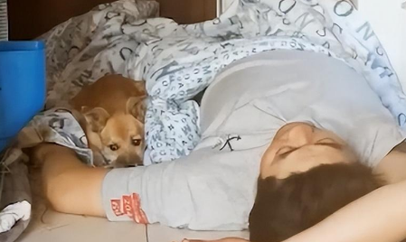 救命，老公喝完酒就绑架小狗回家是什么毛病呀？