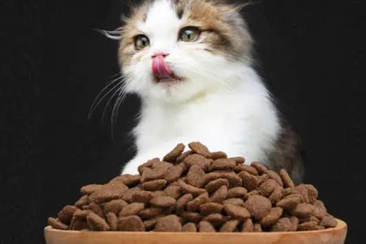 萌饱乐猫粮怎么样?来看看吧 萌饱乐猫粮怎么样?来看看吧