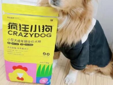 疯狂小狗怎么样 疯狂小狗怎么样