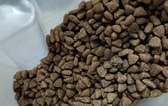 宠袋猫粮怎么样：一款值得推荐的猫粮