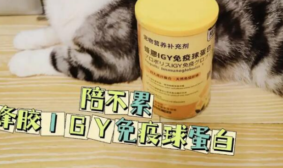 陪不累免疫球蛋白怎么样 陪不累免疫球蛋白怎么样