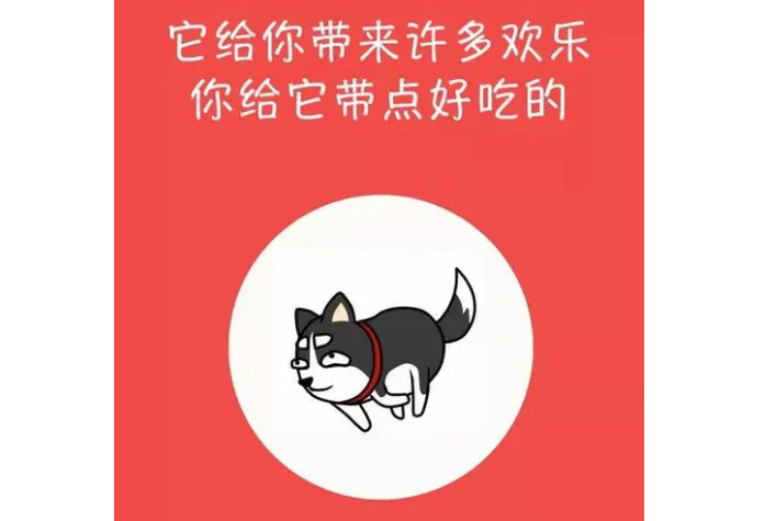 吃狗粮如何减肥文案怎么写 吃狗粮如何减肥文案怎么写