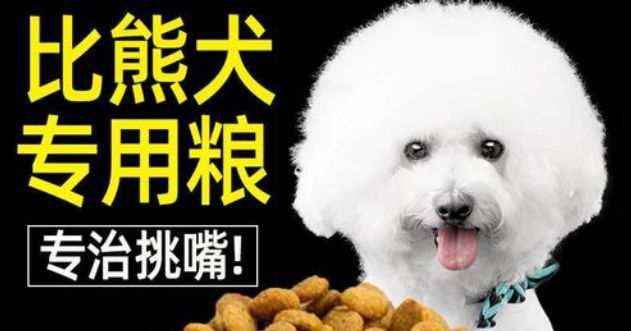 幼体比熊狗犬狗粮怎么挑选啊