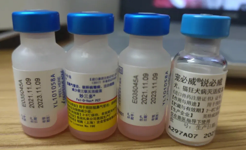 妙三多疫苗间隔多久打一针-宠物网