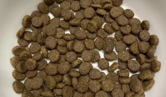 摩邦猫粮贵不贵？