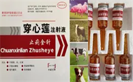 止痢金针有什么作用?来了解下吧
