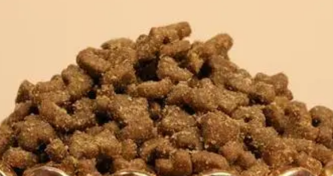 宠仔冻干生骨肉猫粮好不好？
