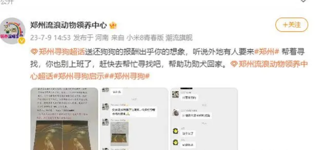 郑州狗主悬赏1000万找狗?大结局来了:杜撰的,已拘留! 郑州狗主悬赏1000万找狗?大结局来了:杜撰的,已拘留!