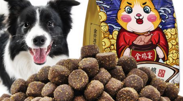 珍鱼堡狗粮好吗？一种优质的宠物食品选择
