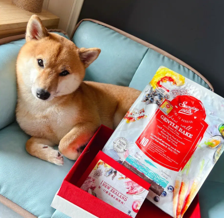 sundaypets狗粮多少钱一斤 sundaypets狗粮多少钱一斤