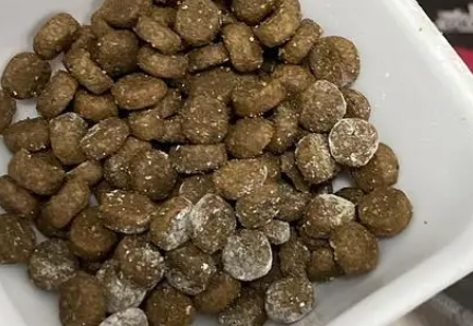 almo nature猫粮怎么样? almo nature猫粮怎么样?