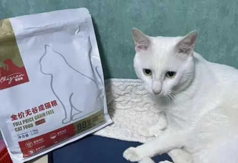 宠贵诺猫粮怎么样?你知道吗 宠贵诺猫粮怎么样?你知道吗