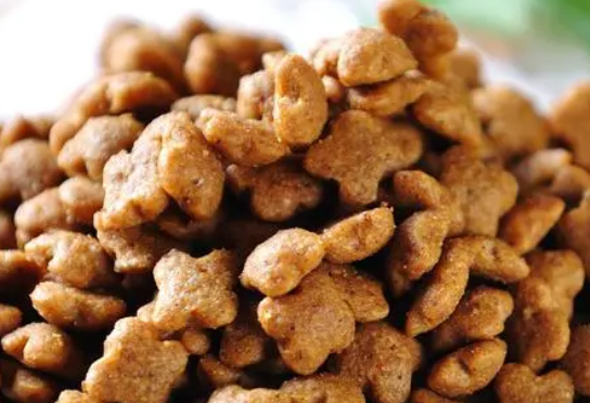 思享家猫粮是不是毒粮,喂食要注意什么? 思享家猫粮是不是毒粮,喂食要注意什么?