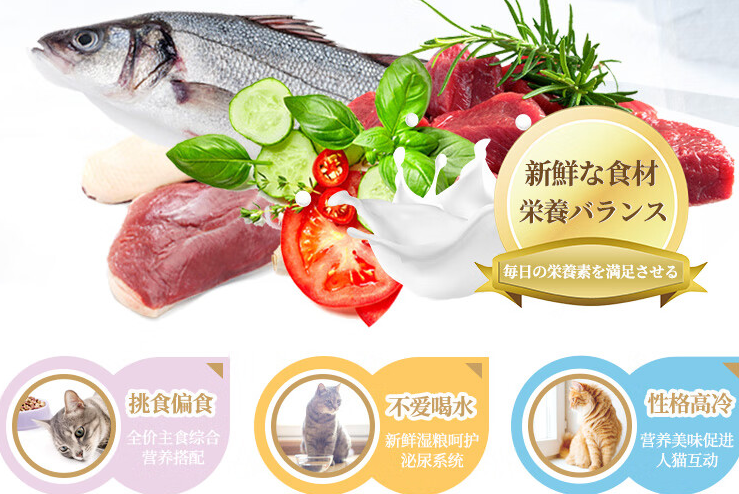 猫罐头如何选？丹特医生猫罐头就不错