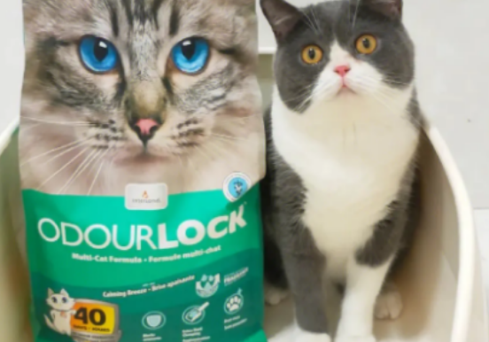 OdorLock晶乐客猫砂怎么样