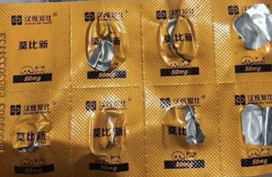 狗狗吃了莫比新会怎么样呢 狗狗吃了莫比新会怎么样呢