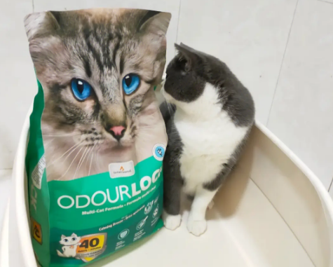 OdorLock晶乐客是进口的吗