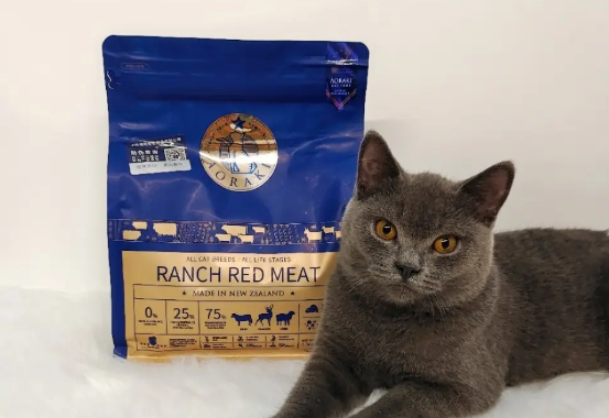 云顶星猫粮怎么样？来了解下吧