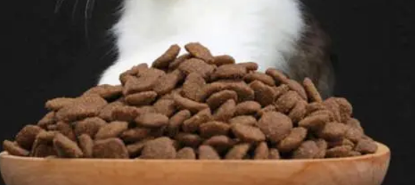 霍丁猫粮怎么喂食? 霍丁猫粮怎么喂食?