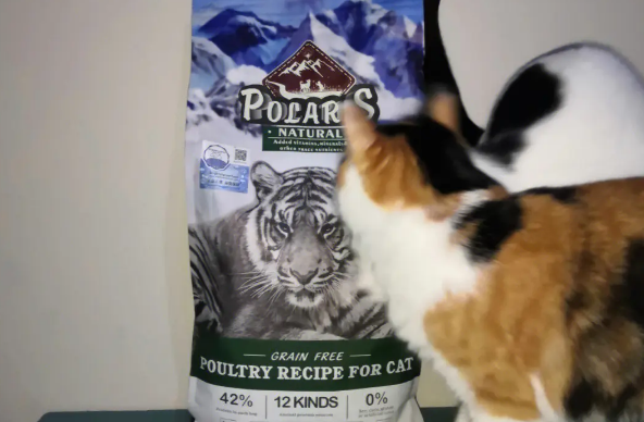 极耀猫粮还能买吗 极耀猫粮还能买吗