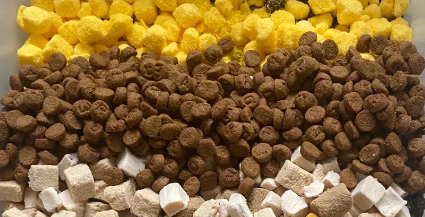喵招猫粮|为猫咪提供全面营养的佳品 喵招猫粮|为猫咪提供全面营养的佳品