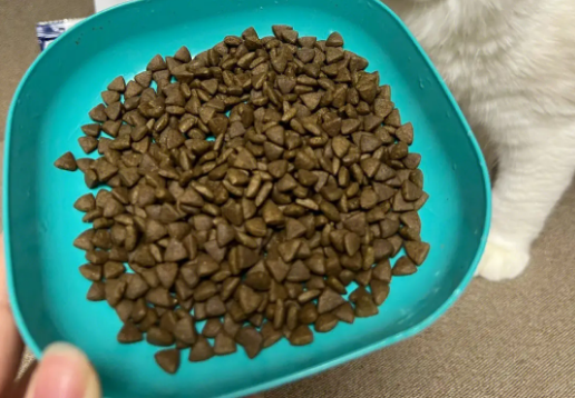 伊倍宠猫粮哪里有卖的 伊倍宠猫粮哪里有卖的