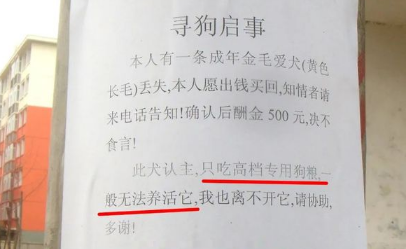 狗子每次走丢都被秒送回？看完寻狗启示之后我悟了