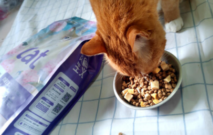 帕蓝姆猫粮质量怎么样 帕蓝姆猫粮质量怎么样