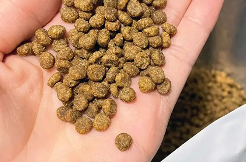 一文详解:麦咖猫粮质量如何? 一文详解:麦咖猫粮质量如何?