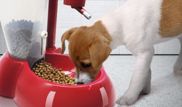 papifeed宠物喂食器怎么样? papifeed宠物喂食器怎么样?