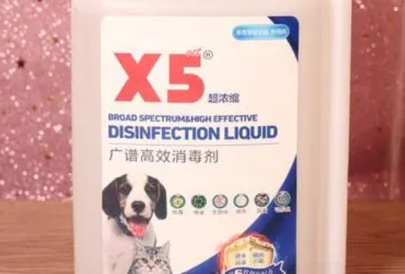 广谱x5消毒液可以对宠物消毒吗？来了解下吧