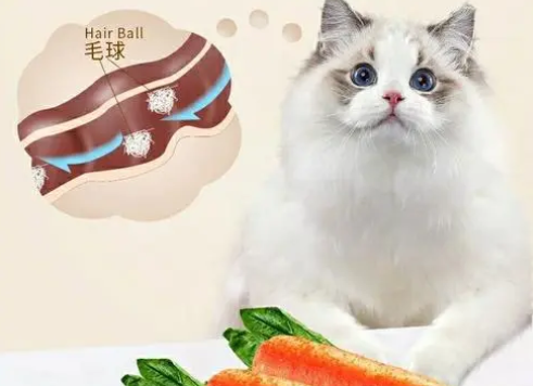 姬卉猫粮:呵护猫咪健康的选择 姬卉猫粮:呵护猫咪健康的选择