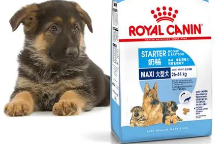 皇家幼犬狗粮如何喂啊？