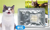 猫咪舔了背上的驱虫药怎么办啊