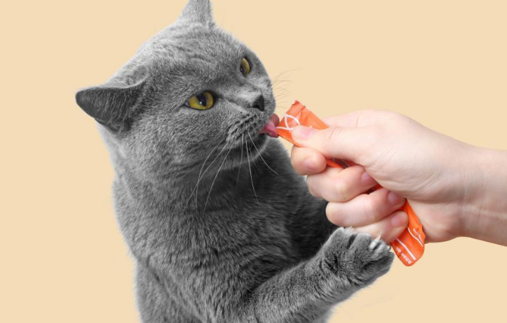 猫小条质量好吗 猫小条质量好吗