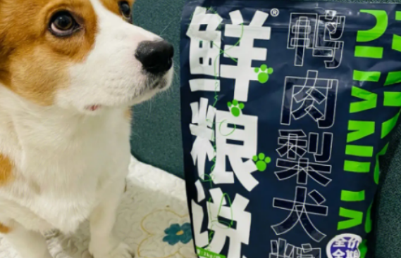 鲜粮说属于什么档次